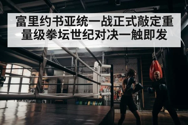 boxer training